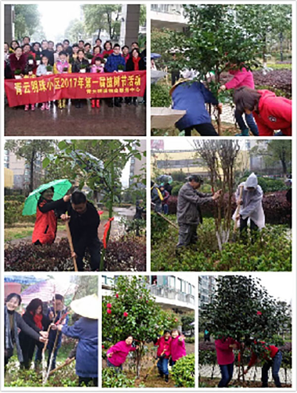 播一片綠林，種一份愛心